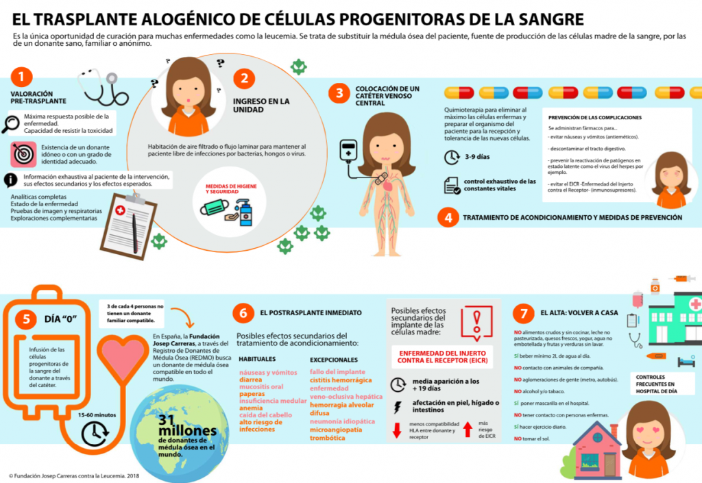 Alimentos contra las nauseas del embarazo